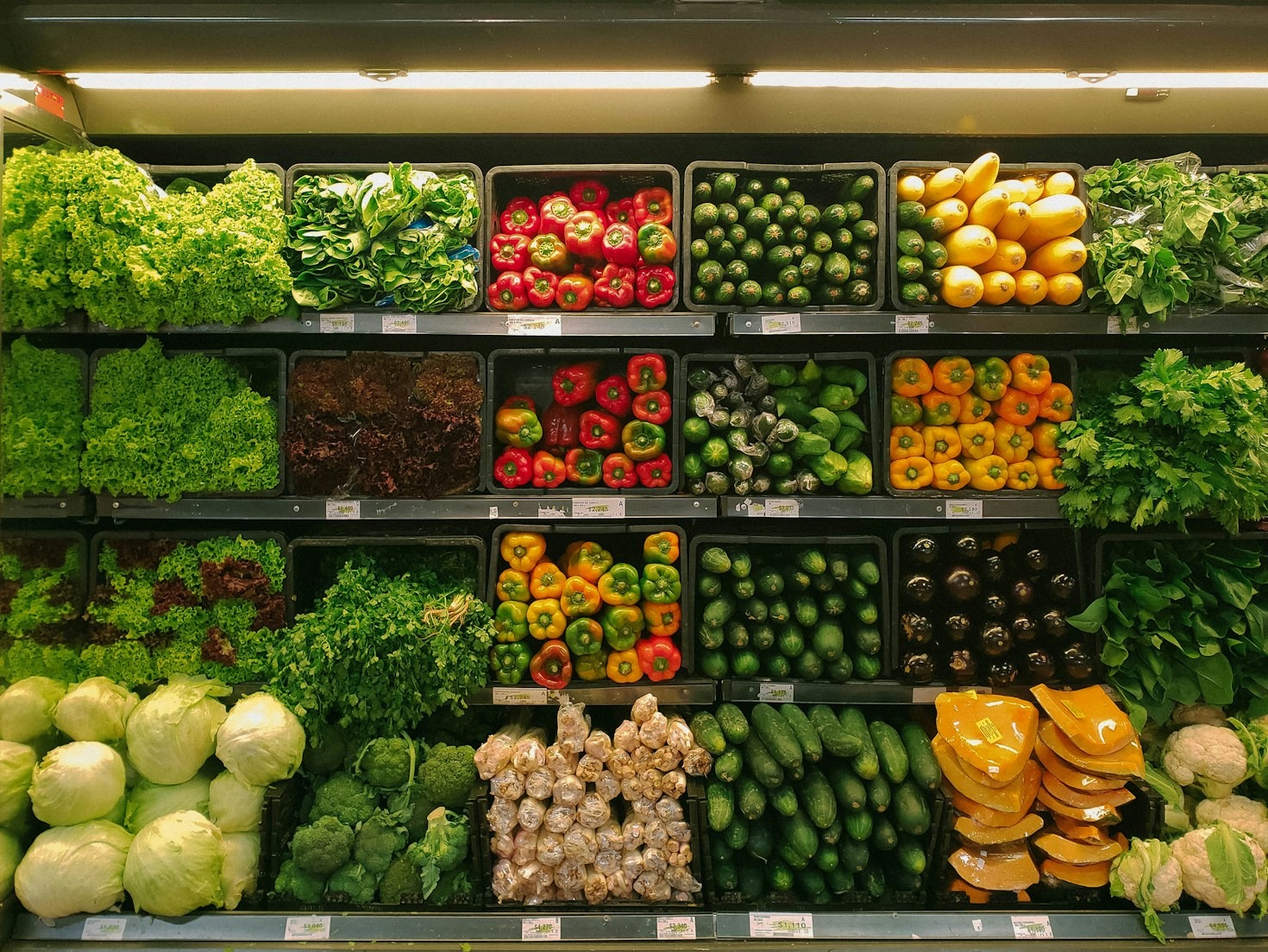 Le migliori specialità gastronomiche del Mercatoammare